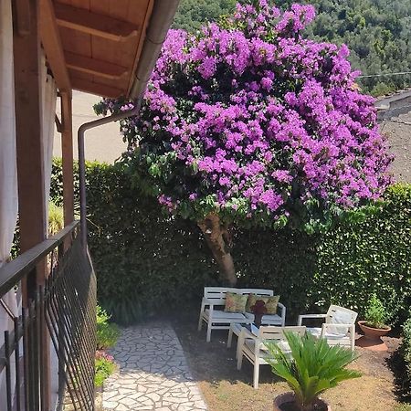 La Bouganville E Il Gelsomino Pietrasanta Bagian luar foto