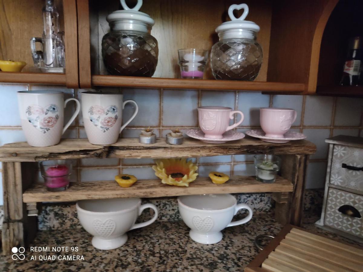 La Bouganville E Il Gelsomino Pietrasanta Bagian luar foto
