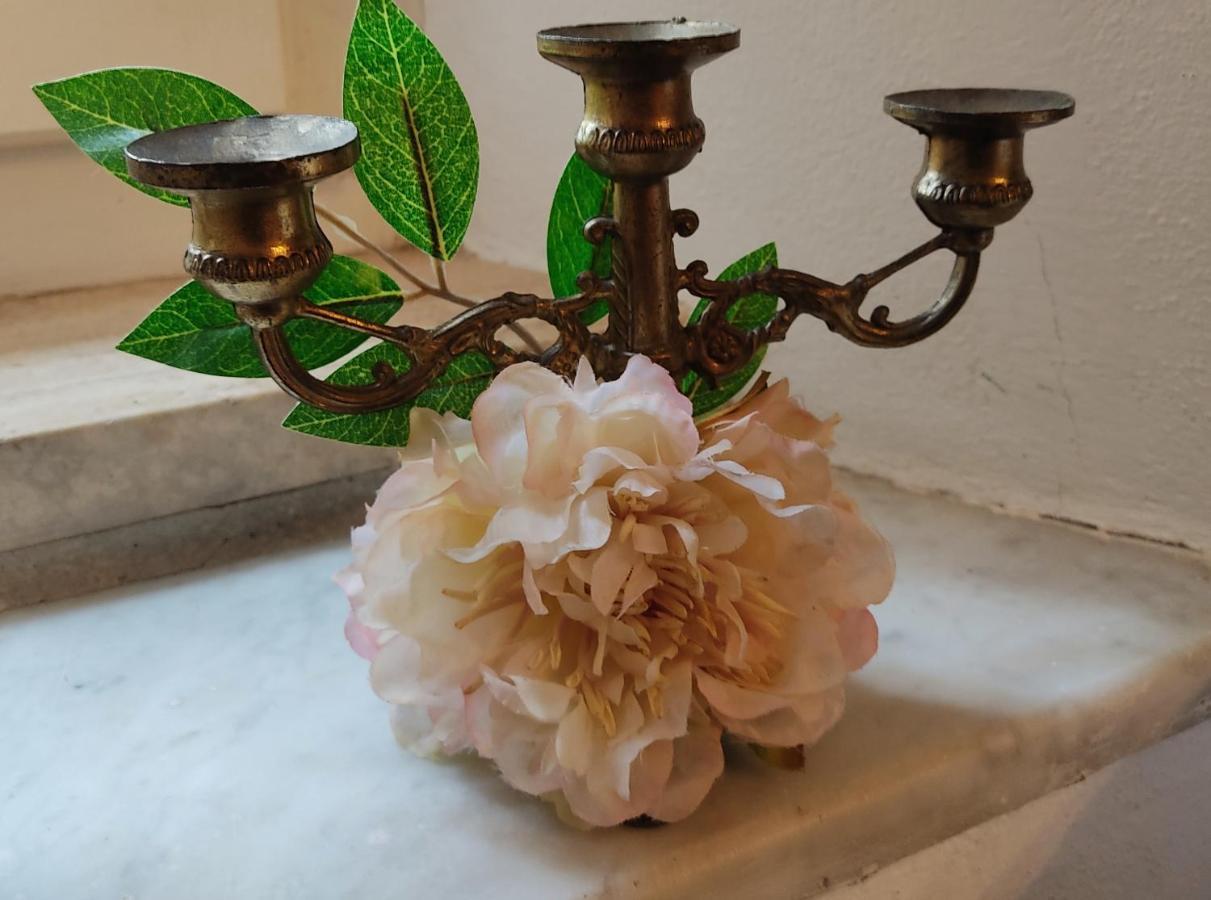 La Bouganville E Il Gelsomino Pietrasanta Bagian luar foto