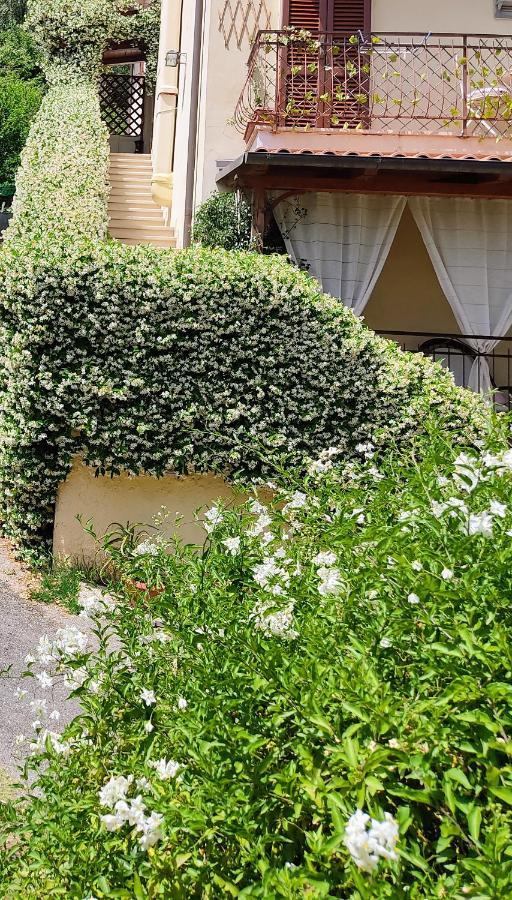 La Bouganville E Il Gelsomino Pietrasanta Bagian luar foto