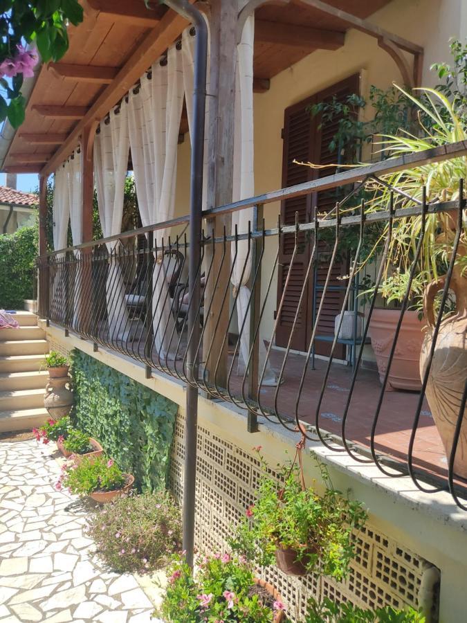La Bouganville E Il Gelsomino Pietrasanta Bagian luar foto