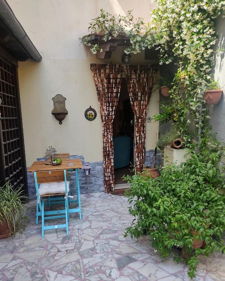 La Bouganville E Il Gelsomino Pietrasanta Bagian luar foto