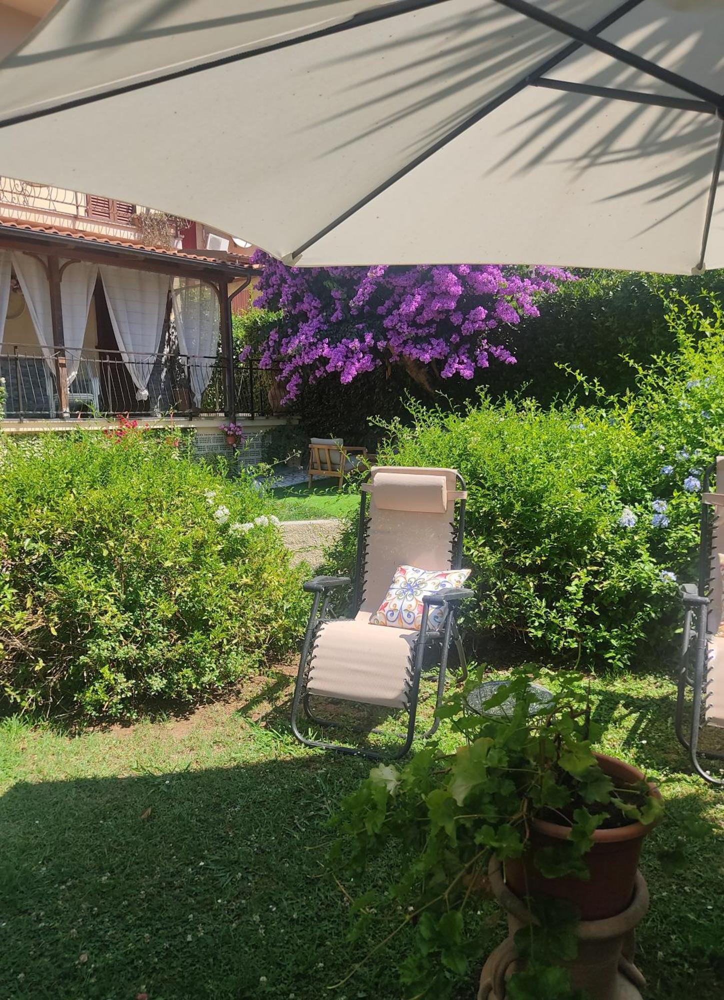 La Bouganville E Il Gelsomino Pietrasanta Bagian luar foto