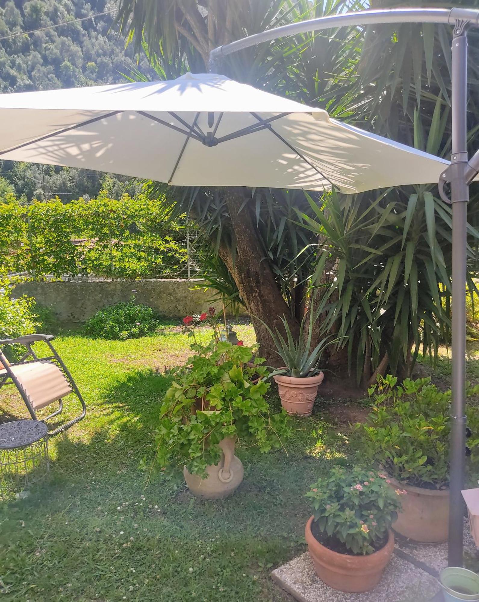 La Bouganville E Il Gelsomino Pietrasanta Bagian luar foto